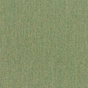 Canvas Fern