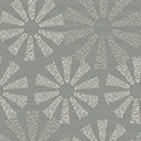 Spiro Graphite