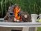 Fire pit bar